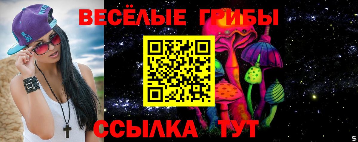 Москва  Псилоцибиновые грибы MAGIC MUSHROOMS  Вход с VPN  Псилоцибиновые грибы MAGIC MUSHROOMS 